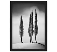 Wall Art Print Group of Cypress Trees on Snowy Hill Minimalist Black and White Photograph Cypresses in Foggy Winter Landscape Artwork Framed A4 Artery8 Black A4