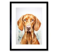 Artery8 Wall Art Print Hungarian Vizsla Dog Soft Watercolour Artwork Golden Rust Teal Bright Portrait Artwork Framed 9X7 Inch | Size: W7" x H9" Artery8 Black W7" x H9"