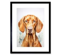 Artery8 Wall Art Print Hungarian Vizsla Dog Soft Watercolour Artwork Golden Rust Teal Bright Portrait Artwork Framed 9X7 Inch