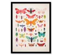 Artery8 Wall Art Print Insects & Bugs Bright Colourful Framed Picture | Size: A4 Artery8 Multicolor A4