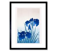 Wee Blue Coo Iris Flowers Ohara Koson Art Print Framed Poster Wall Decor 9x7 inch