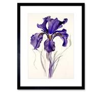 Artery8 Wall Art Print Iris Reticulata Watercolour Flower Bloom Drawing Artwork Framed 9X7 Inch in Black | Size: W7" x H9" Artery8 Black W7" x H9"