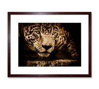 Artery8 Wall Art Print Jaguar Head Big Cat Framed in Brown | Size: W7" x H9" Artery8 Brown W7" x H9"