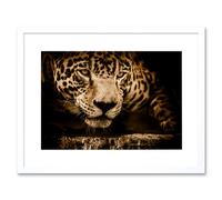 Artery8 Wall Art Print Jaguar Head Big Cat Framed in White | Size: W7" x H9" Artery8 White W7" x H9"