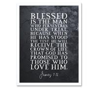Artery8 Wall Art Print James 1:12 Perservere Stood The Test Receive The Crown Of Life Christian Bible Verse Quote Scripture Typography Art Framed Artery8 White W12" x H16"