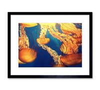 Artery8 Wall Art Print Jellyfish Group Underwater Ocean Framed 9X7 Inch