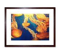 Artery8 Wall Art Print Jellyfish Group Underwater Ocean Framed in Brown | Size: W7" x H9" Artery8 Brown W7" x H9"