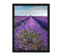 Artery8 Wall Art Print Lavender Field Provence France Morning Flowers Photo Art Large Framed Wall Décor Art in Brown | Size: W18" x H24" Artery8 Brown W18" x H24"