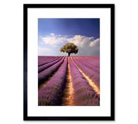 Artery8 Wall Art Print Lavender Field Provence France Photograph Lone Tree Beautiful Flower Purple Blooms Artwork Framed 9X7 Inch | Size: W7" x H9" Artery8 Black W7" x H9"