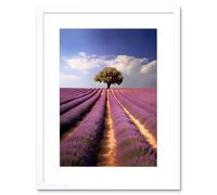 Artery8 Wall Art Print Lavender Field Provence France Photograph Lone Tree Beautiful Flower Purple Blooms Artwork Framed 9X7 Inch | Size: W7" x H9" Artery8 White W7" x H9"