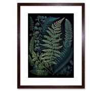 Artery8 Wall Art Print Leaf Fern Fronds Ernst Haeckel Style Artwork Framed 9X7 Inch in Brown | Size: W7" x H9" Artery8 Brown W7" x H9"
