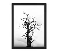 Artery8 Lone Dead Tree Silhouette Black White Artwork Framed Wall Art Print 18X24 Inch