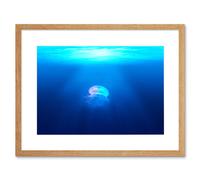 Artery8 Wall Art Print Lone Jellyfish Blue Water Framed in Beige | Size: W7" x H9" Artery8 Beige W7" x H9"