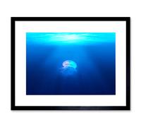 Artery8 Wall Art Print Lone Jellyfish Blue Water Framed in Black | Size: W7" x H9" Artery8 Black W7" x H9"