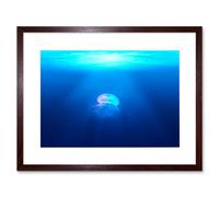 Artery8 Wall Art Print Lone Jellyfish Blue Water Framed in Brown | Size: W7" x H9" Artery8 Brown W7" x H9"