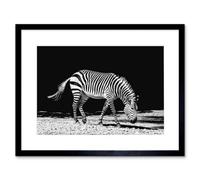 Artery8 Wall Art Print Lone Zebra Bw Framed 9X7 Inch