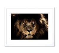 Artery8 Wall Art Print Male African Lion Face Cat Framed in White | Size: W7" x H9" Artery8 White W7" x H9"
