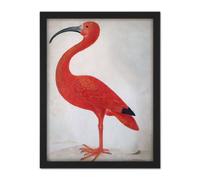 Artery8 Wall Art Print Merian Scarlet Ibis With Egg Nature Bird Painting Large Framed Wall Décor Art in Brown | Size: W18" x H24" Artery8 Brown W18" x H24"