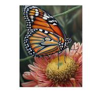 Artery8 Wall Art Print Monarch Butterfly On Chrysanthemum Flower Pencil Spring Bloom w/ Insect Macro Close-Up Wing Pattern Vibrant Colourful Bright Artery8 Orange W18" x H24"