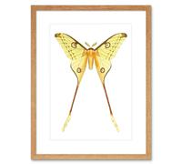 Artery8 Wall Art Print Moth Yellow Art Framed 9x7 inch in Beige | Size: W7" x H9" Artery8 Beige W7" x H9"