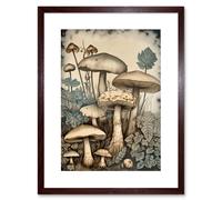 Artery8 Wall Art Print Mushroom Fungi Watercolour Vintage Cottagecore Aesthetic Rustic Decor Artwork Framed 9X7 Inch in Brown | Size: W7" x H9" Artery8 Brown W7" x H9"
