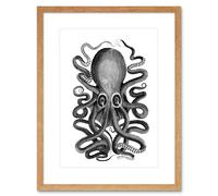 Artery8 Wall Art Print Octopus Vintage Art Framed 9x7 inch in Beige | Size: W7" x H9" Artery8 Beige W7" x H9"
