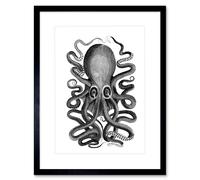 Artery8 Wall Art Print Octopus Vintage Art Framed 9x7 inch in Black | Size: W7" x H9" Artery8 Black W7" x H9"