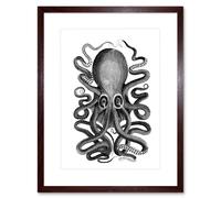 Artery8 Wall Art Print Octopus Vintage Art Framed 9x7 inch in Brown | Size: W7" x H9" Artery8 Brown W7" x H9"