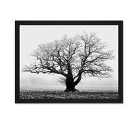 Artery8 Wall Art Print Old Oak Tree Black White Mist Fog Photo Art Large Framed Wall Décor Art in Brown | Size: W18" x H24" Artery8 Brown W18" x H24"