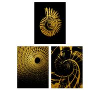 Artery8 Wall Art Print Pack of 3 A4 Abstract Spiral Shapes Chain Link Shell Staircase Gold Effect On Black Living Room s Set Artery8 Multicolor A4