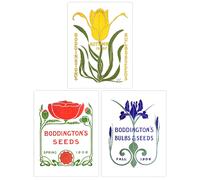 Artery8 Wall Art Print Pack of 3 A4 Boddington Bulbs & Seeds 1906 Yellow Autumn Red Spring Blue Fall Vintage Ad Poster Living Room s Set Artery8 Multicolor A4