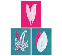 Artery8 Wall Art Print Pack of 3 A4 Modern Forest Leaf Fuchsia Pink & Teal Contrast Xray Foliage Im Botanical Living Room s Set Artery8 Multicolor A4