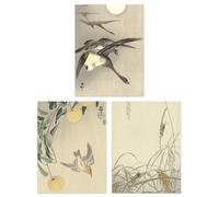 Artery8 Wall Art Print Pack of 3 A4 Ohara Koson Japan Kachō-e Bird & Flower Cuckoo Geese Grasshoppers Japanese Paintings Living Room s Set Artery8 Multicolor A4