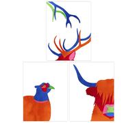 Artery8 Wall Art Print Pack of 3 A4 Scottish Highland Animals Highland Coo Cow Grouse Deer Abstract Colour Block Living Room s Set Artery8 Multicolor A4