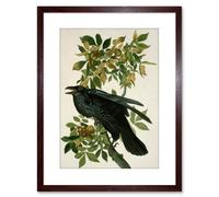Artery8 Wall Art Print Painting Nature Animal Bird Audubon Raven Artwork Framed 9X7 Inch in Brown | Size: W7" x H9" Artery8 Brown W7" x H9"