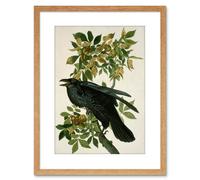Artery8 Wall Art Print Painting Nature Animal Bird Audubon Raven Artwork Framed 9X7 Inch in Light Oak | Size: W7" x H9" Artery8 Light Oak W7" x H9"