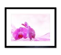 Artery8 Wall Art Print Pink Orchid Pretty Flowers Framed in Black | Size: W7" x H9" Artery8 Black W7" x H9"