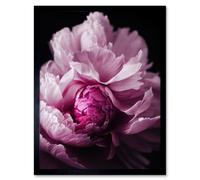 Artery8 Wall Art Print Pink Peony Blooming Petals Macro Photograph Art Framed in Black | Size: W12" x H16" Artery8 Black W12" x H16"