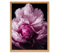Artery8 Wall Art Print Pink Peony Blooming Petals Macro Photograph Art Framed in Light Oak | Size: W12" x H16" Artery8 Light Oak W12" x H16"