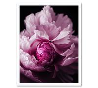 Artery8 Wall Art Print Pink Peony Blooming Petals Macro Photograph Art Framed in White | Size: W12" x H16" Artery8 White W12" x H16"