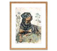 Artery8 Wall Art Print Rottweiler Dog Lying in Wildflowers Bright Watercolour Artwork Framed 9X7 Inch in Beige | Size: W7" x H9" Artery8 Beige W7" x H9"