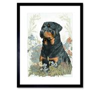 Artery8 Wall Art Print Rottweiler Dog Sitting in Flower Field Modern Watercolour Artwork Framed 9X7 Inch in Black | Size: W7" x H9" Artery8 Black W7" x H9"