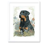 Artery8 Wall Art Print Rottweiler Dog Sitting in Flower Field Modern Watercolour Artwork Framed 9X7 Inch in White | Size: W7" x H9" Artery8 White W7" x H9"