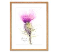 Wall Art Print Scottish Thistle Flower Head Watercolour Scotland Framed Artery8 Beige W7 inch x H9 inch