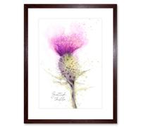 Wee Blue Coo Scottish Thistle Flower Head Watercolour Scotland Framed Wall Art Print