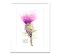 Artery8 Wall Art Print Scottish Thistle Flower Head Watercolour Scotland Framed in White | Size: W7" x H9" Artery8 White W7" x H9"