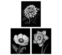 Artery8 Wall Art Print Set Of 3 Elegant Single Chrysanthemum Poppy Daffodil Spring Flower Black White Floral Impact Artwork