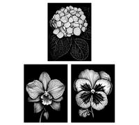 Artery8 Wall Art Print Set of 3 Elegant Single Hydrangea Orchid Pansy Flowers Floral Black White Striking Impact Artwork Living Room Poster s Pack Artery8 Black A4
