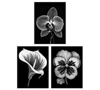 Artery8 Wall Art Print Set Of 3 Elegant Single Orchid Cala Lily Pansy Spring Flowers Black And White Floral Impact Artworks