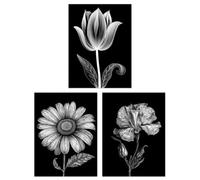 Artery8 Wall Art Print Set Of 3 Elegant Single Tulip Daisy Rose Spring Flowers Black And White Floral Impact Artworks